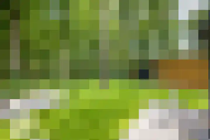 Struikheidelaan 16 Hilversum thumbnail 54