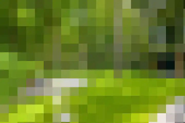 Struikheidelaan 16 Hilversum thumbnail 55