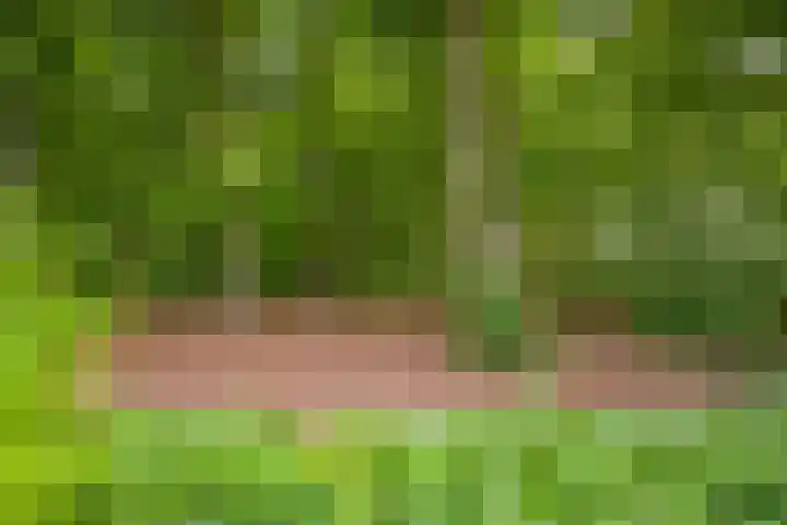 Struikheidelaan 16 Hilversum thumbnail 56