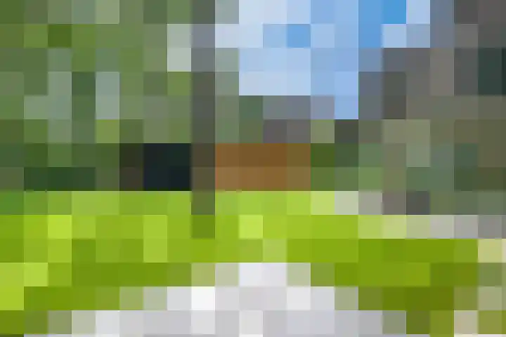 Struikheidelaan 16 Hilversum thumbnail 58