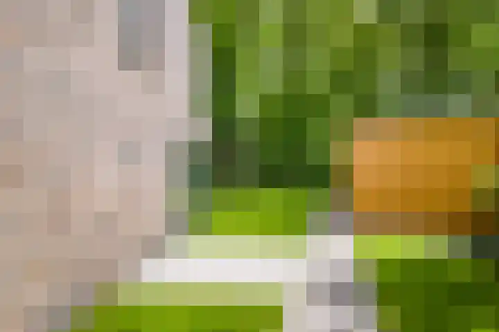 Struikheidelaan 16 Hilversum thumbnail 59