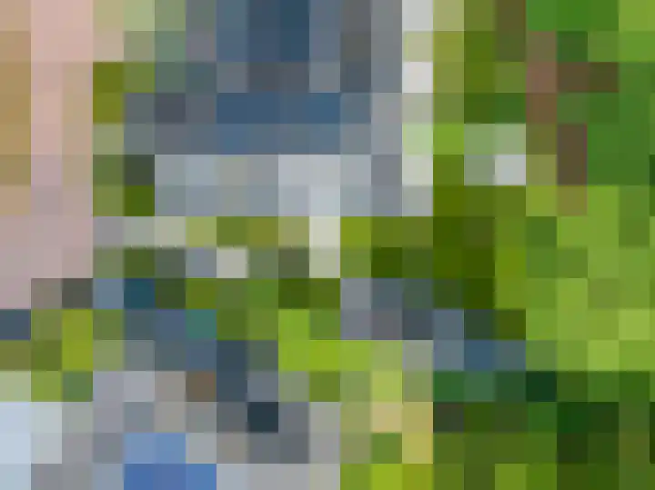 Struikheidelaan 16 Hilversum thumbnail 61