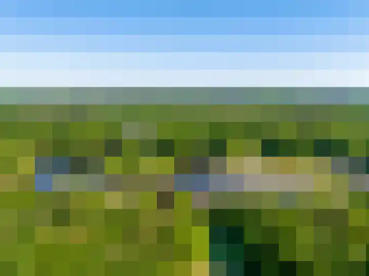 Struikheidelaan 16 Hilversum thumbnail 64