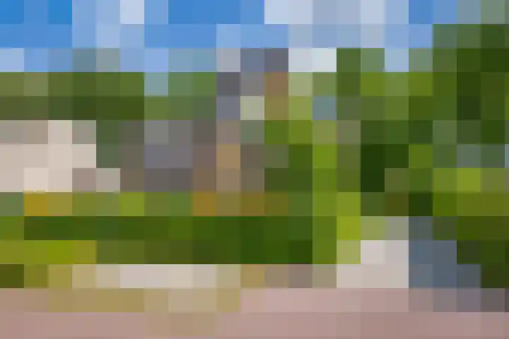 Struikheidelaan 16 Hilversum thumbnail 69
