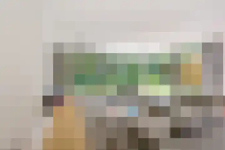 Struikheidelaan 16 Hilversum thumbnail 7