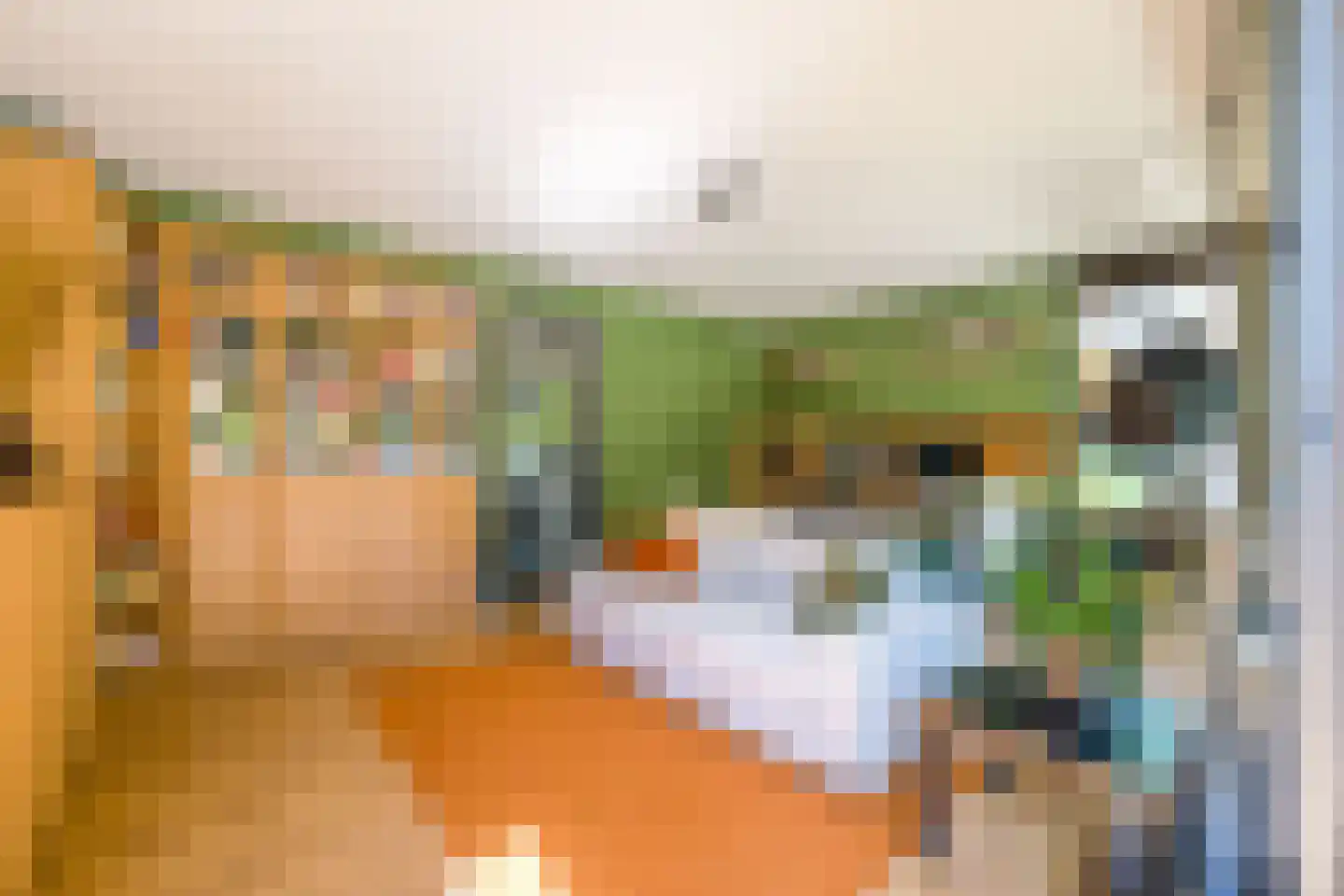 Struikheidelaan 55 Hilversum thumbnail 12