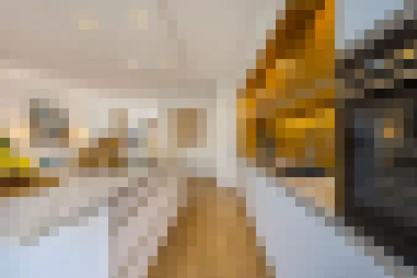 Struikheidelaan 55 Hilversum thumbnail 17