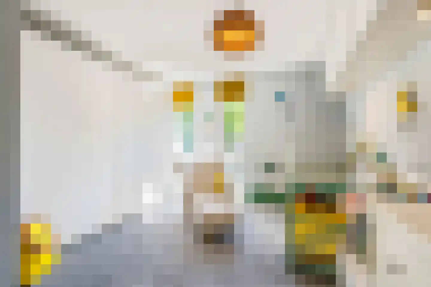 Struikheidelaan 55 Hilversum thumbnail 32