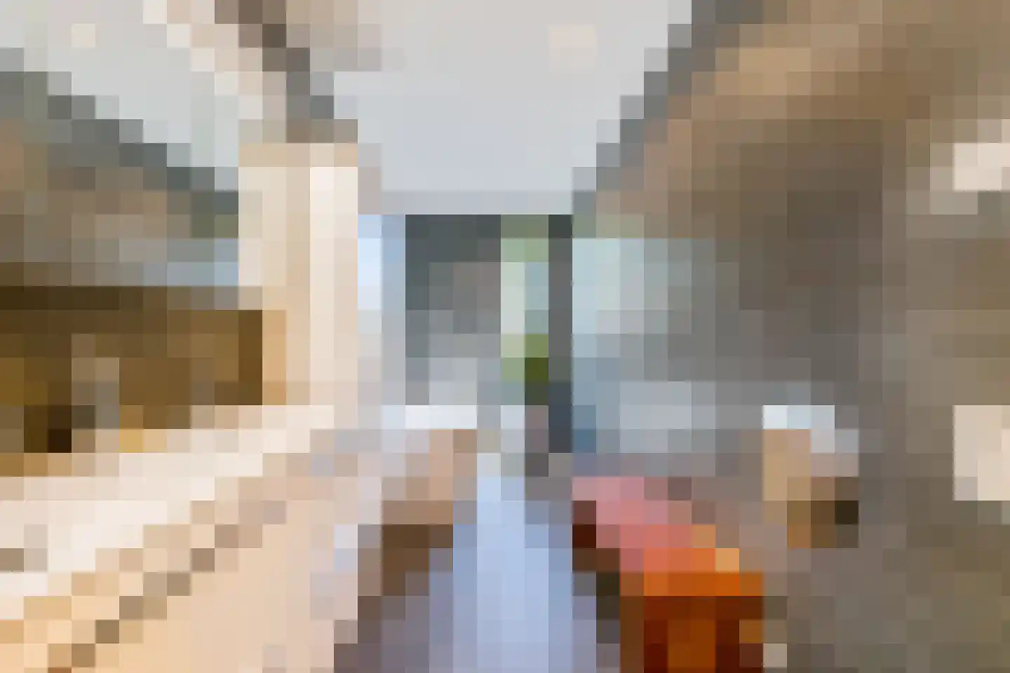 Struikheidelaan 55 Hilversum thumbnail 33