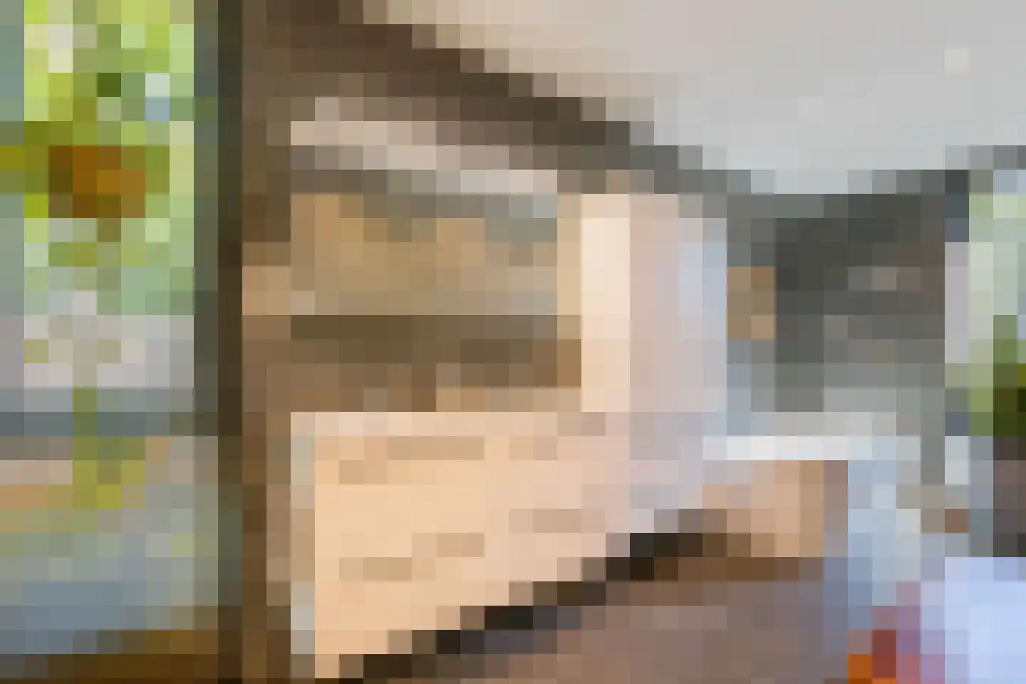 Struikheidelaan 55 Hilversum thumbnail 34