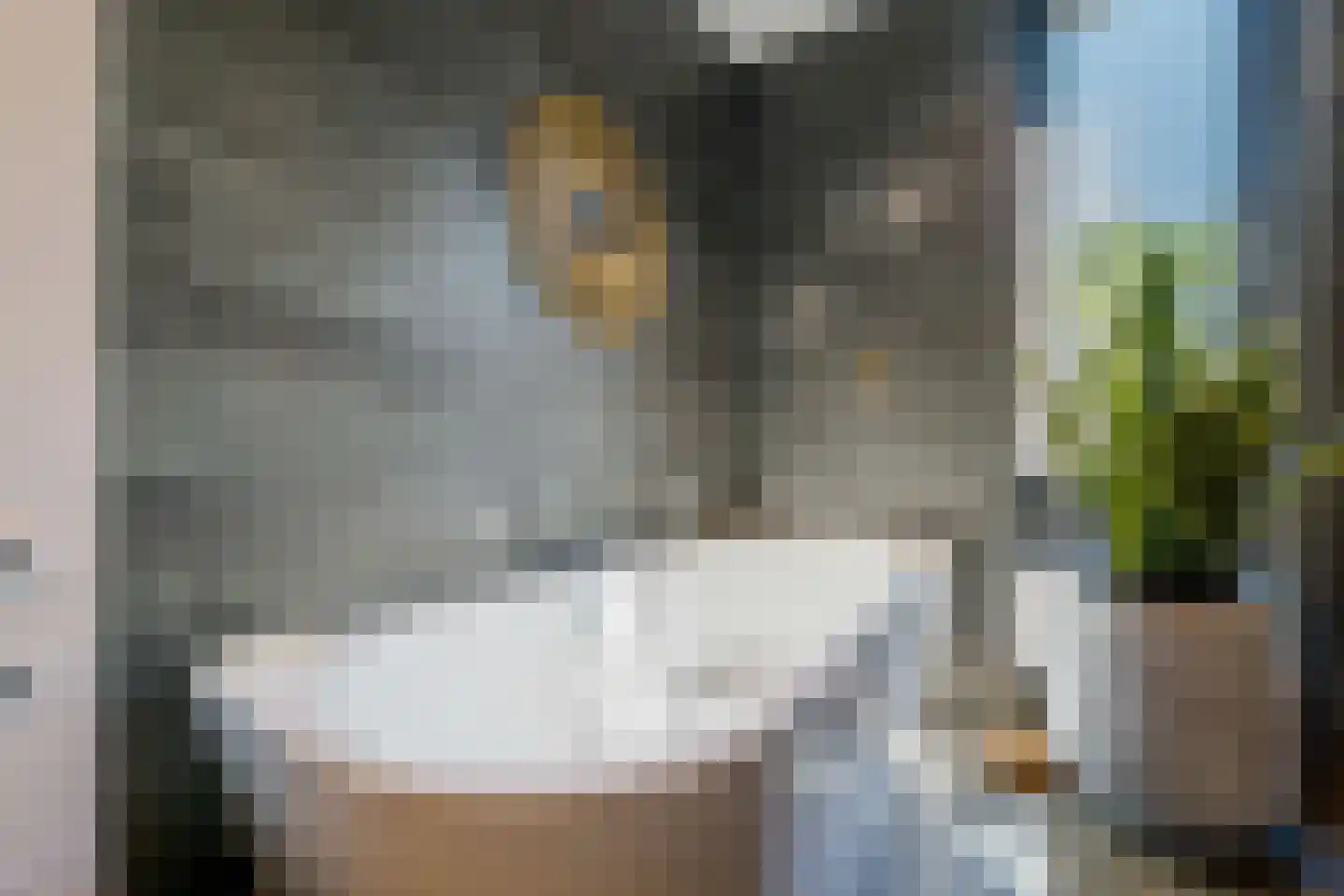 Struikheidelaan 55 Hilversum thumbnail 35