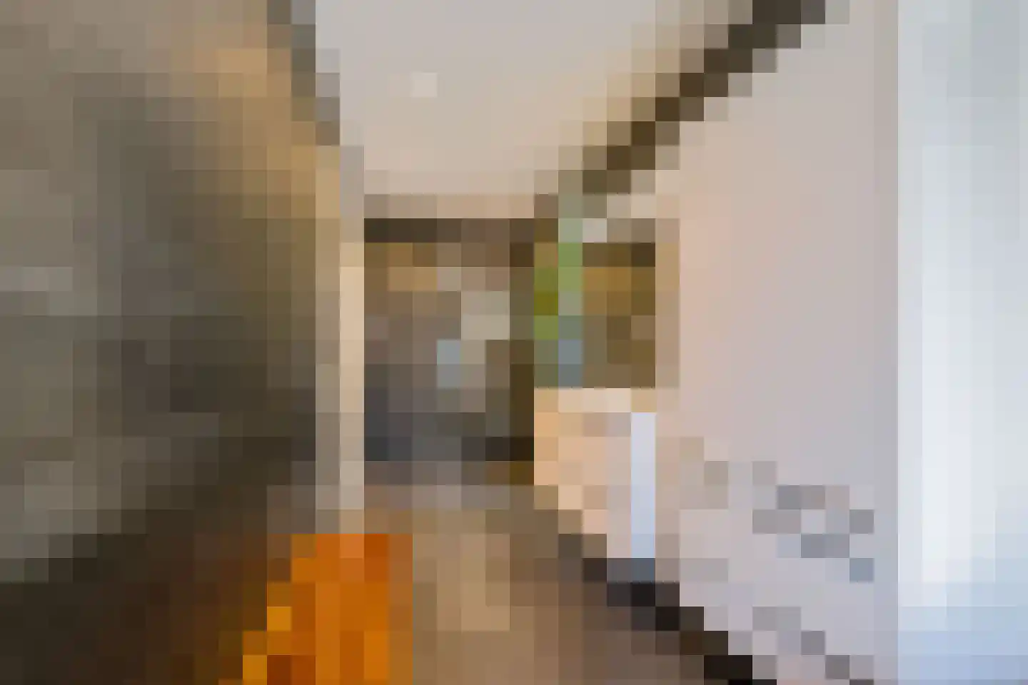 Struikheidelaan 55 Hilversum thumbnail 36