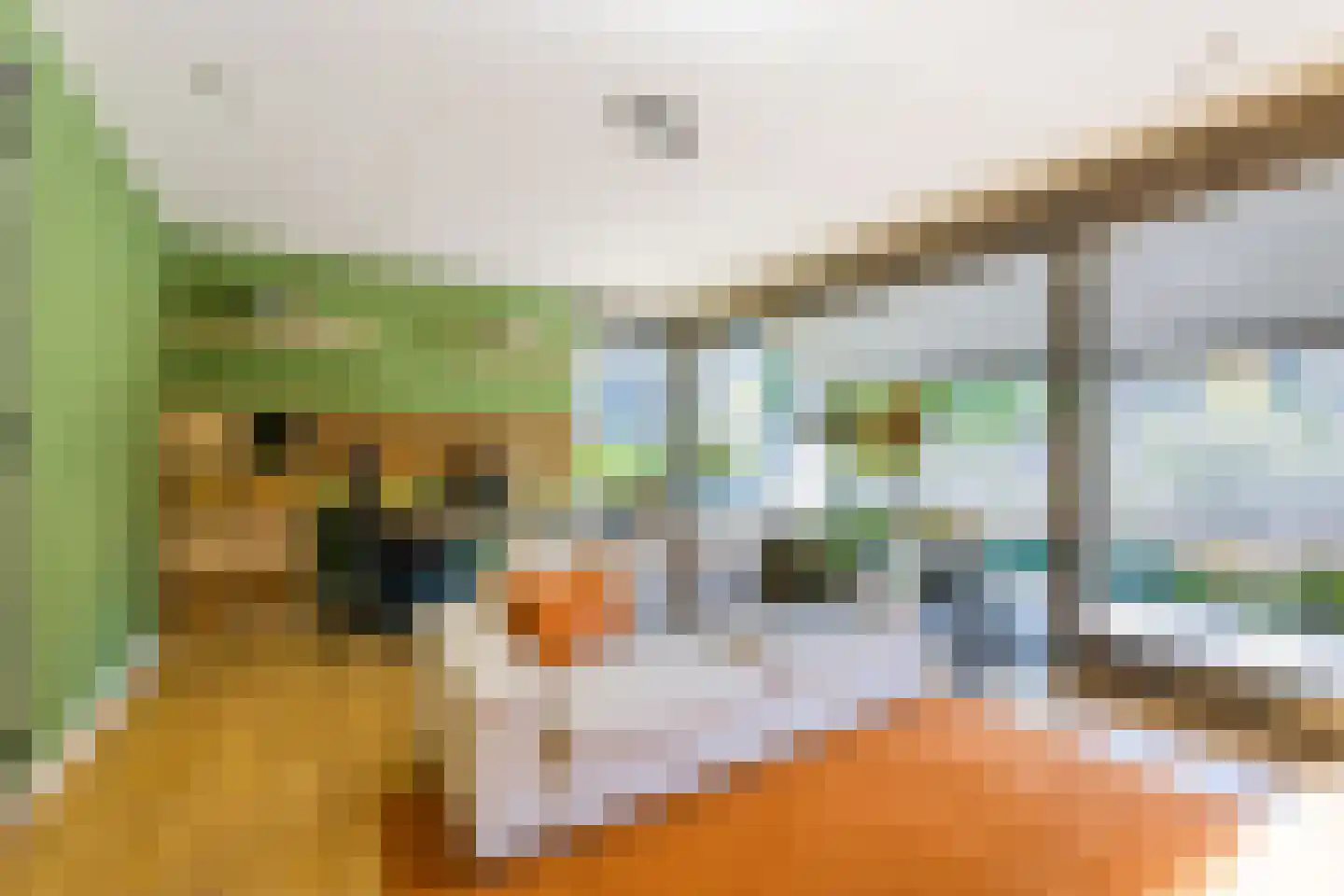 Struikheidelaan 55 Hilversum thumbnail 9