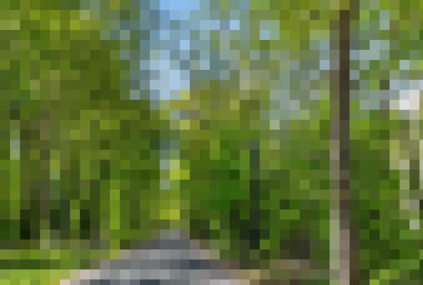 Struikheidelaan 71 Hilversum thumbnail 35