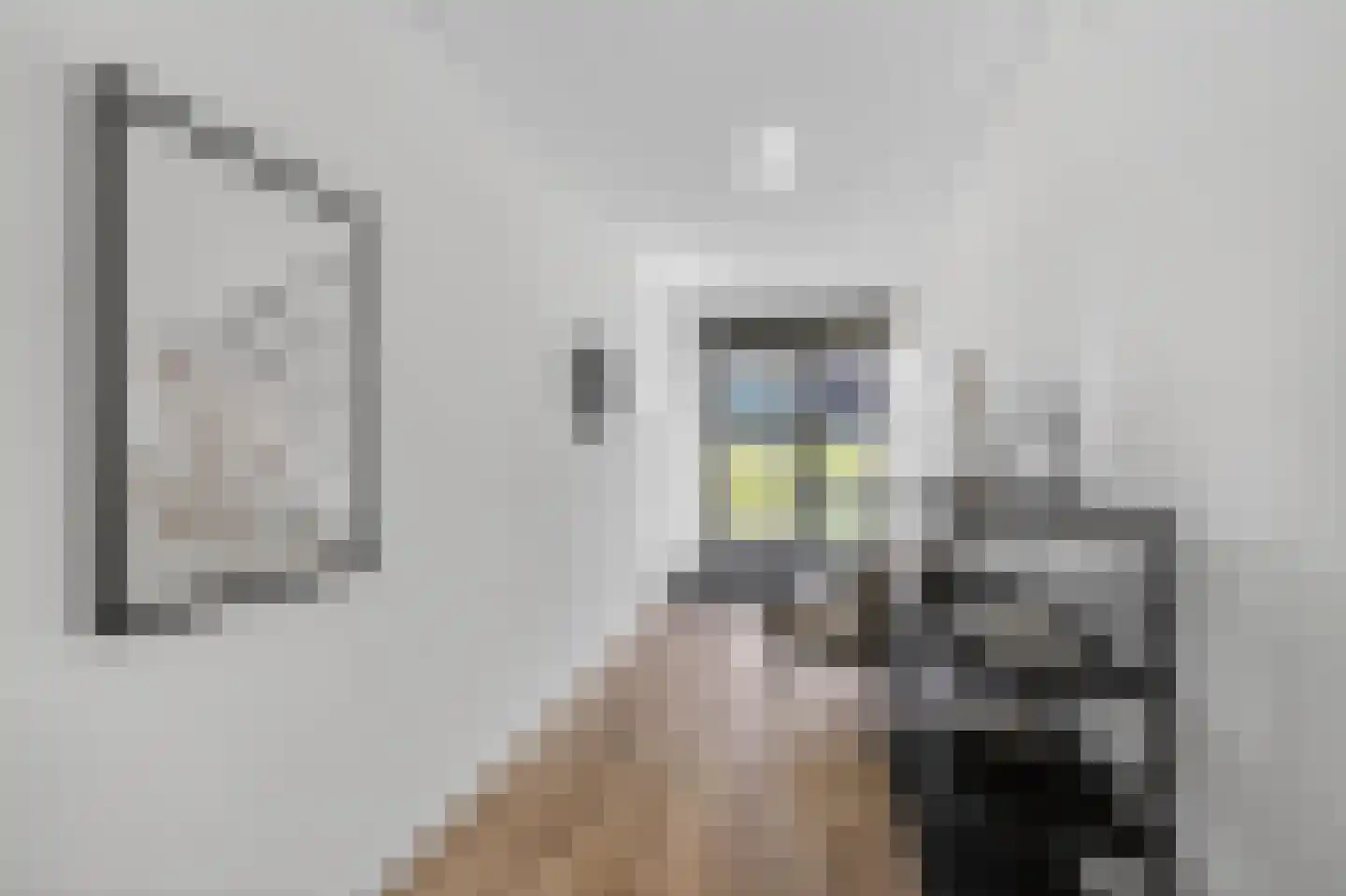 Struikheidelaan 71 Hilversum thumbnail 6