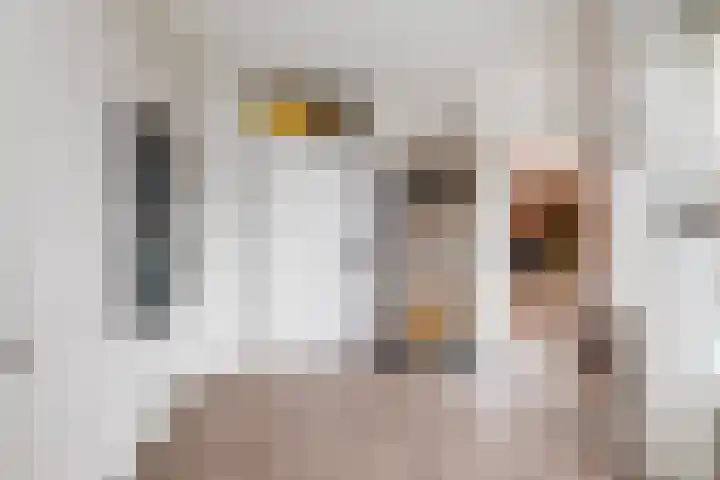 Struikheideveld 10 Swifterbant thumbnail 11