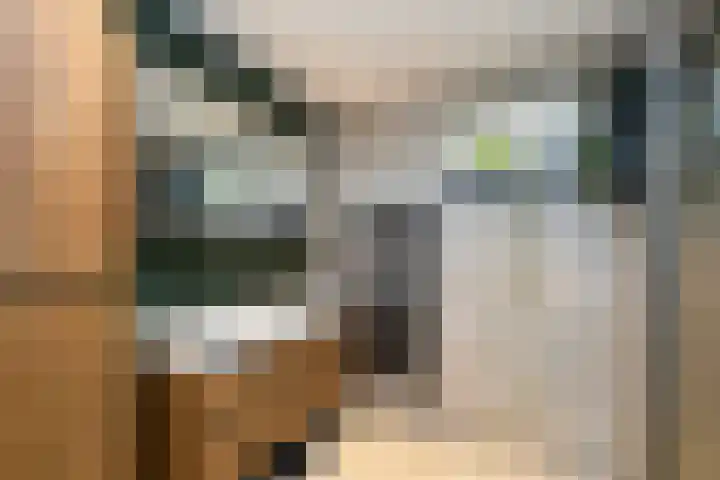 Struikheideveld 10 Swifterbant thumbnail 20