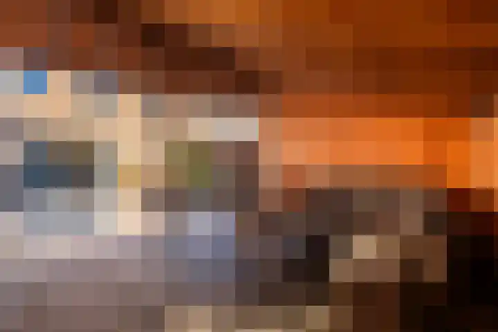 Struikheideveld 10 Swifterbant thumbnail 26