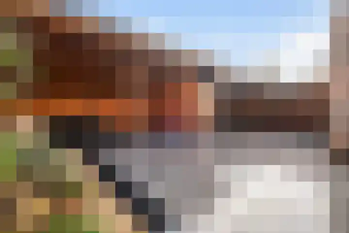 Struikheideveld 10 Swifterbant thumbnail 4