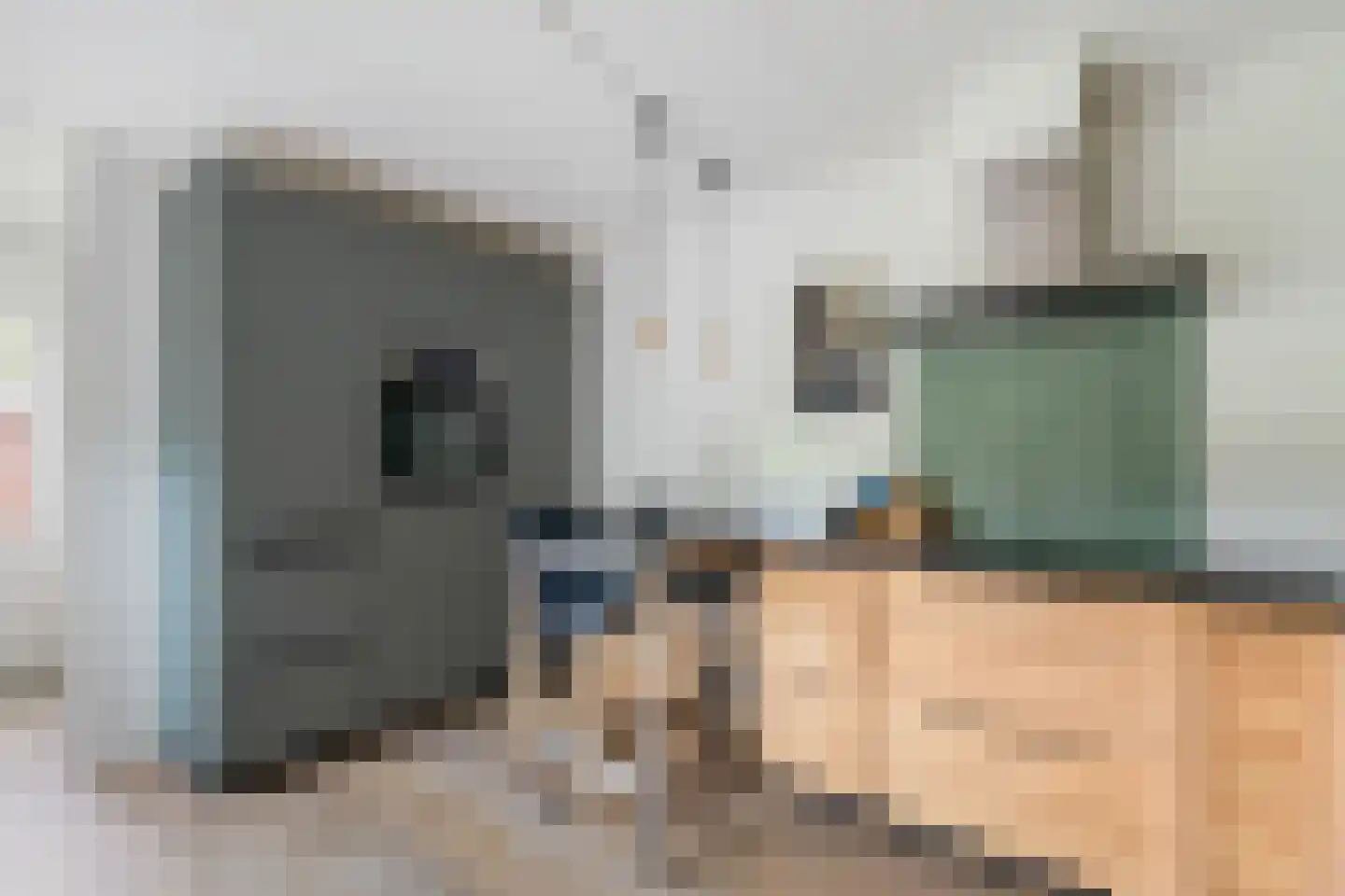 Struikheideveld 12 Swifterbant thumbnail 27