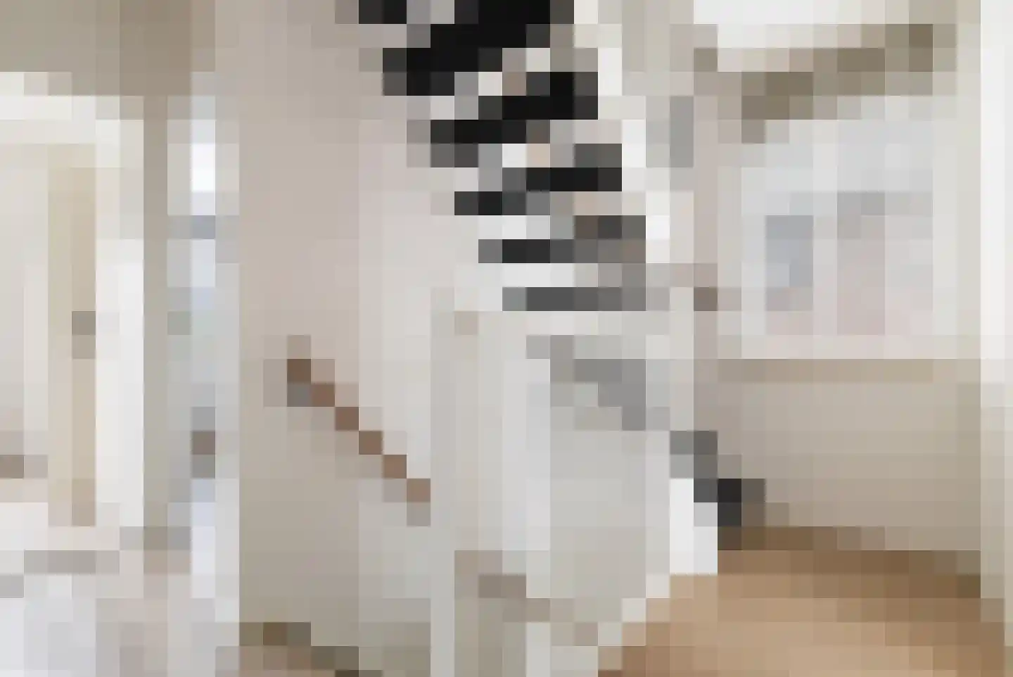 Struikheideveld 12 Swifterbant thumbnail 35