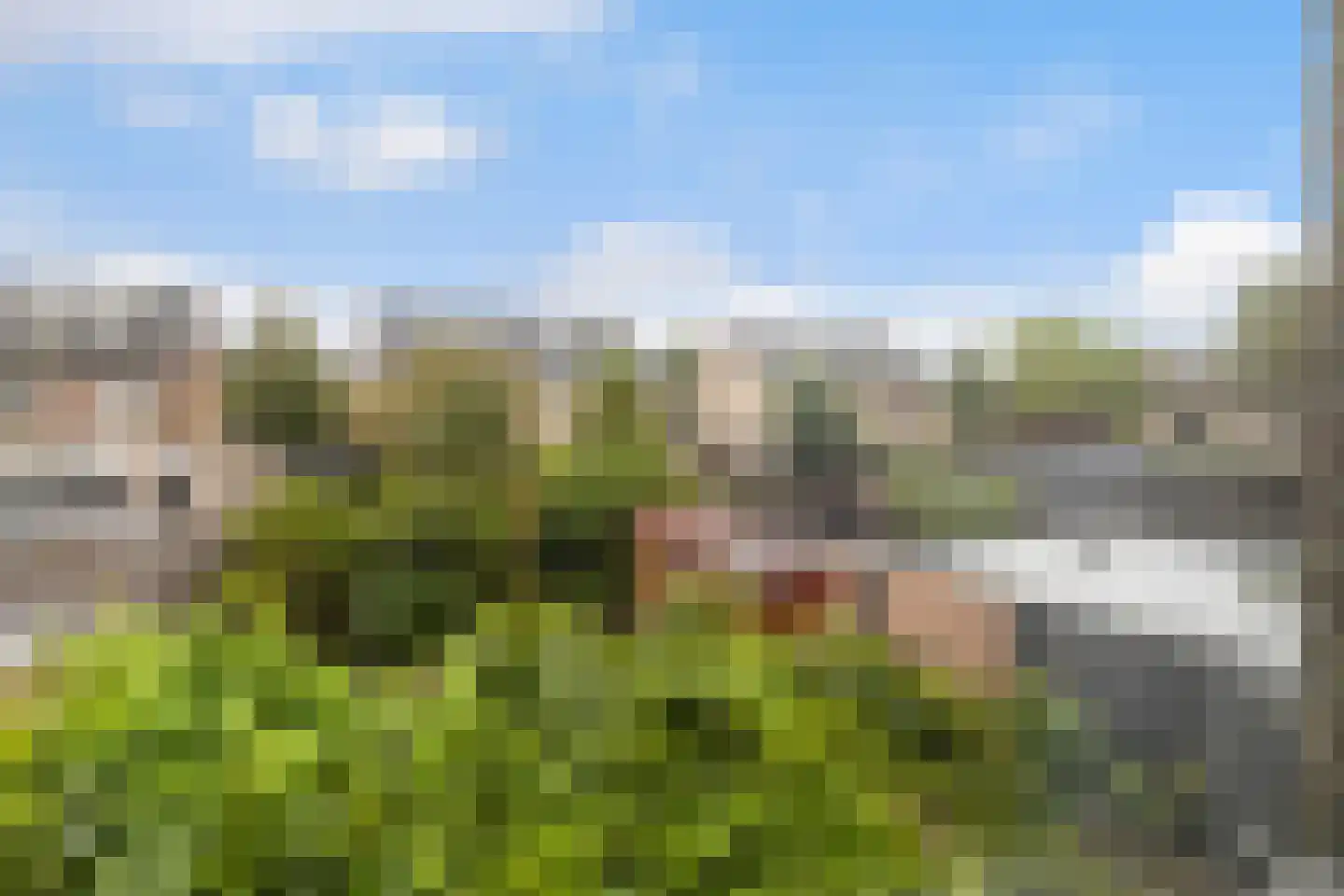 Struikheideveld 12 Swifterbant thumbnail 41