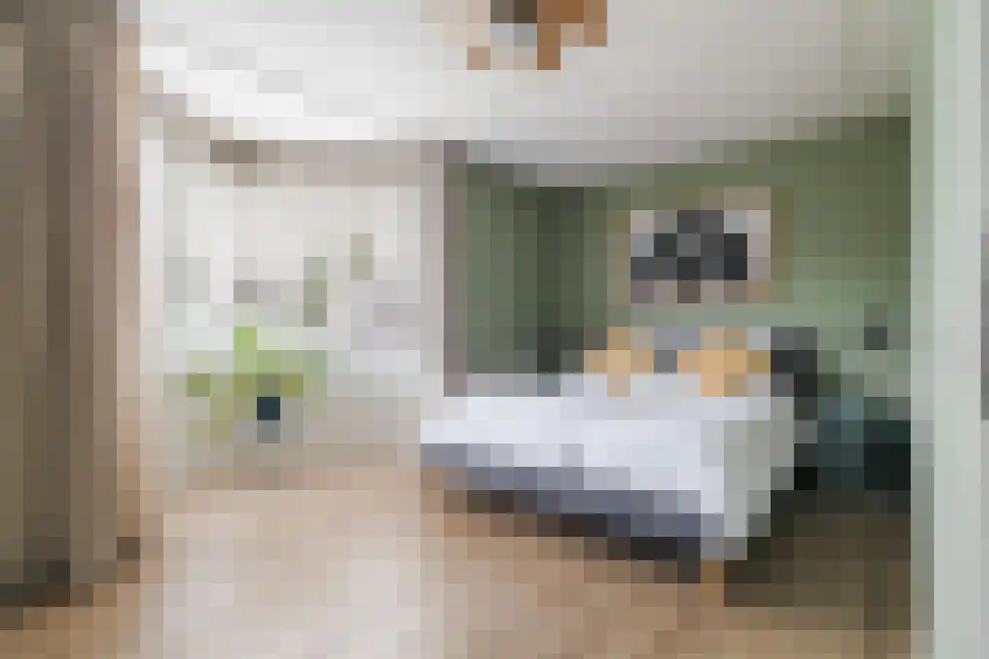 Struikheideveld 12 Swifterbant thumbnail 42