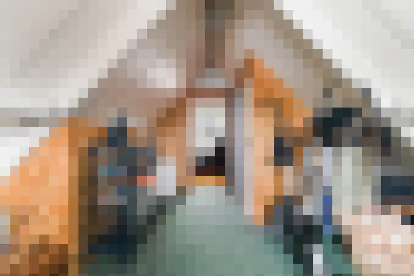Struikheideveld 12 Swifterbant thumbnail 53