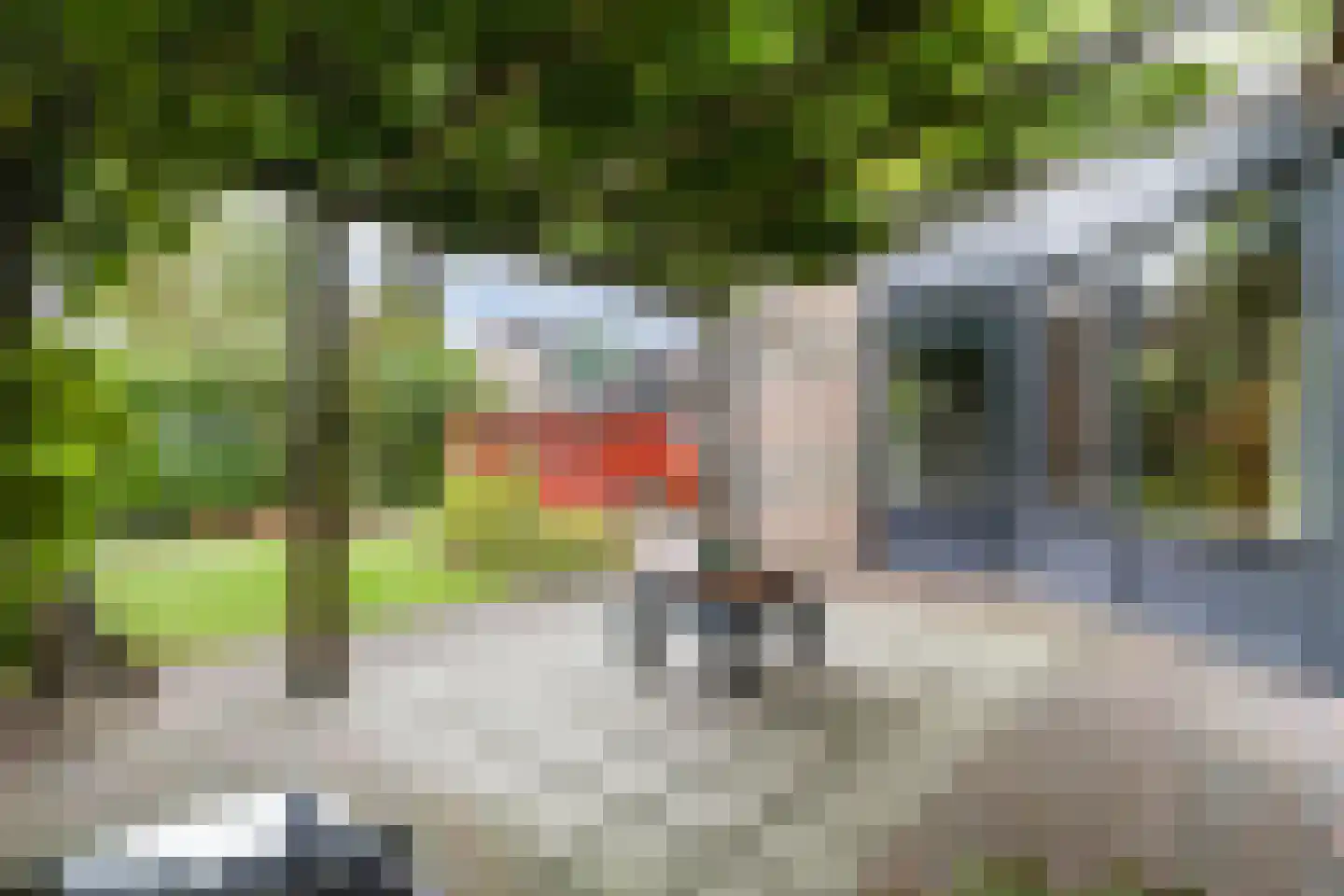Struikheideveld 12 Swifterbant thumbnail 56