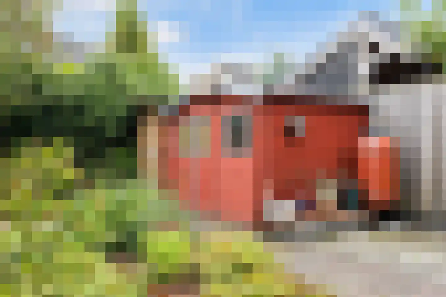 Struikheideveld 12 Swifterbant thumbnail 60