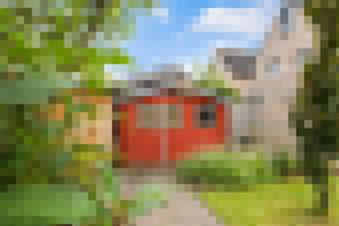 Struikheideveld 12 Swifterbant thumbnail 64