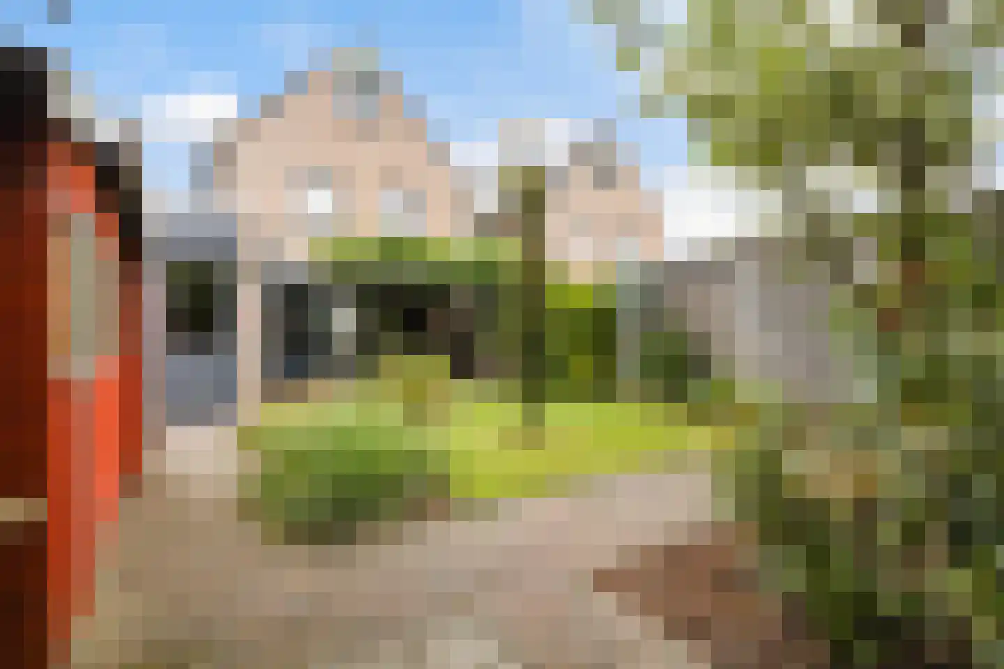 Struikheideveld 12 Swifterbant thumbnail 66
