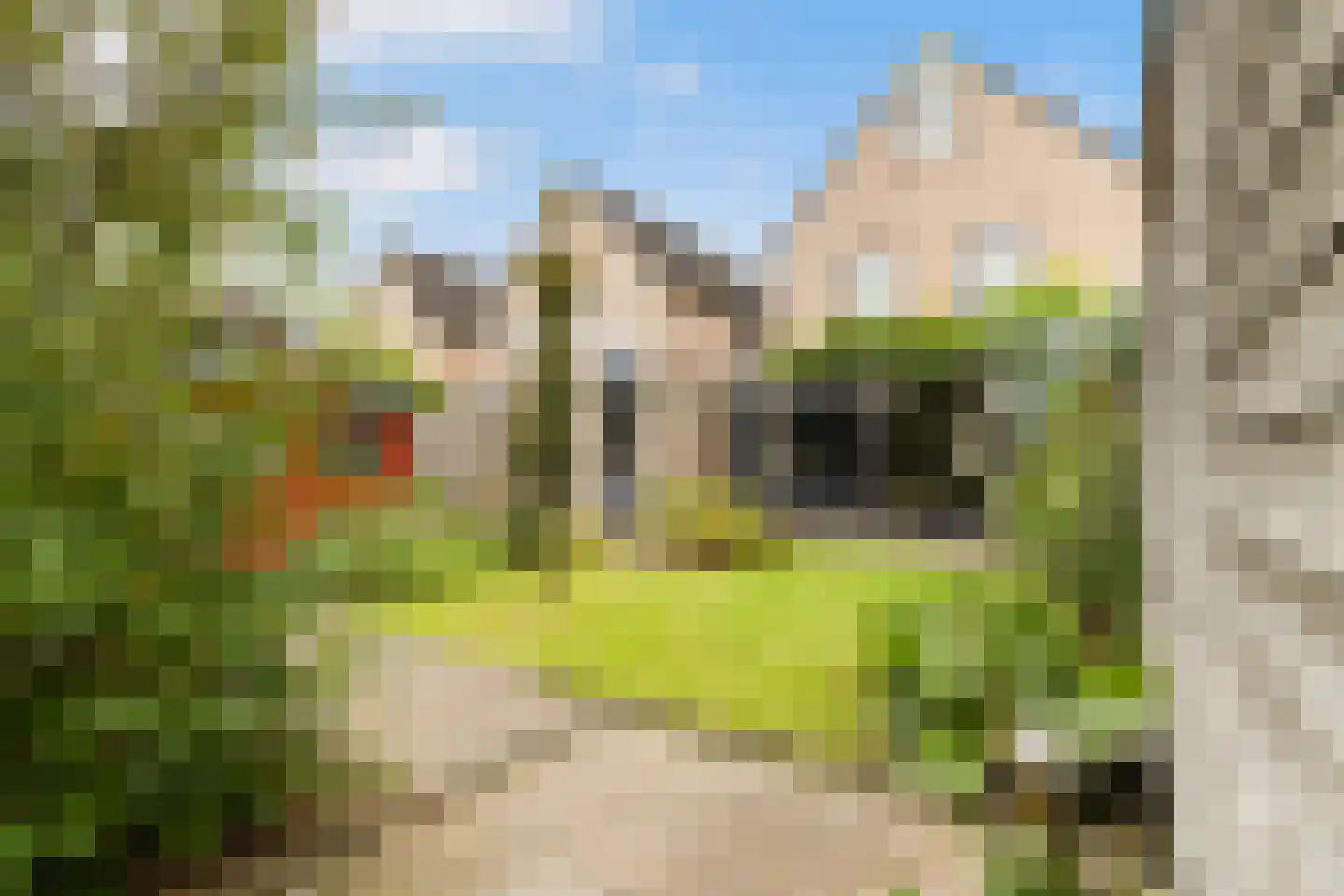 Struikheideveld 12 Swifterbant thumbnail 68