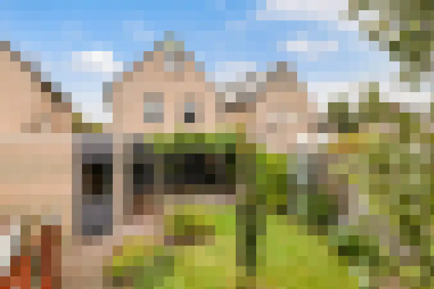 Struikheideveld 12 Swifterbant thumbnail 69