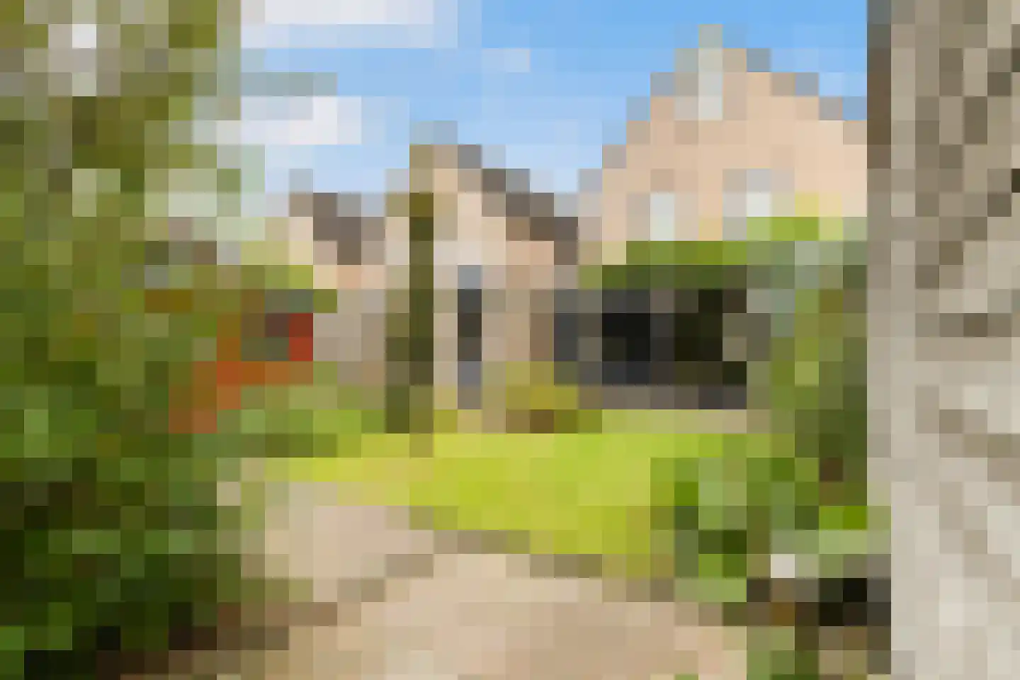 Struikheideveld 12 Swifterbant thumbnail 69