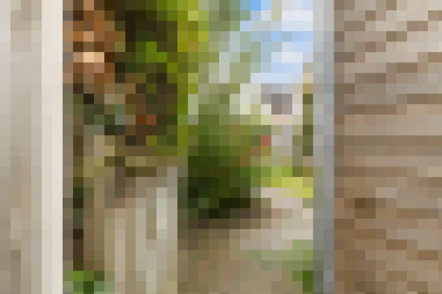 Struikheideveld 12 Swifterbant thumbnail 70