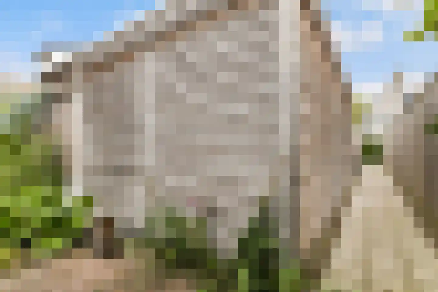 Struikheideveld 12 Swifterbant thumbnail 71