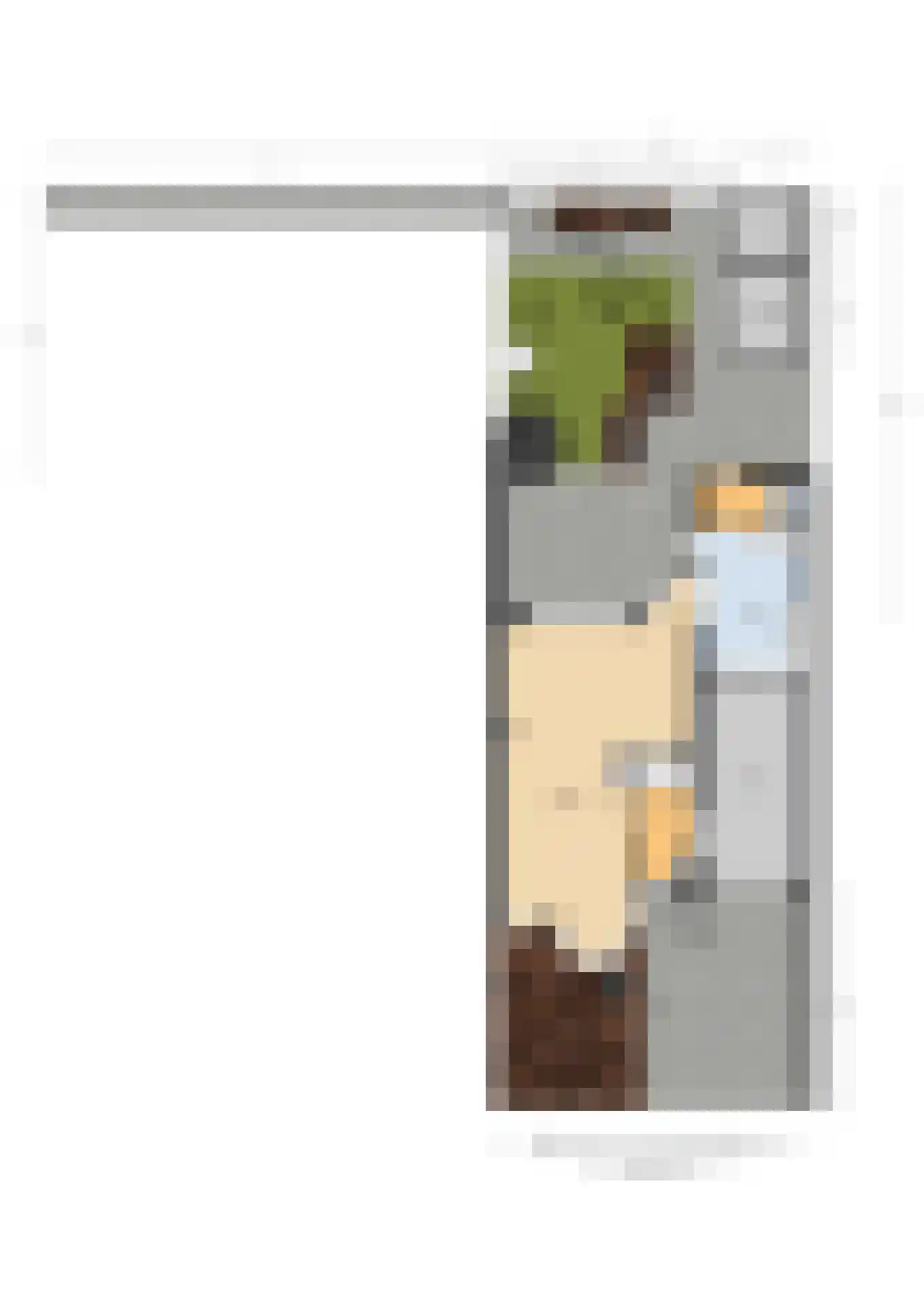 Struikheideveld 12 Swifterbant thumbnail 85