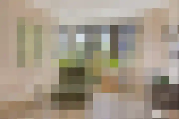 Struiklaan 7 Nooitgedacht thumbnail 10