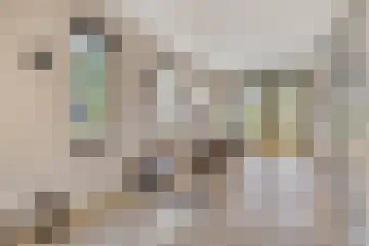Struiklaan 7 Nooitgedacht thumbnail 11
