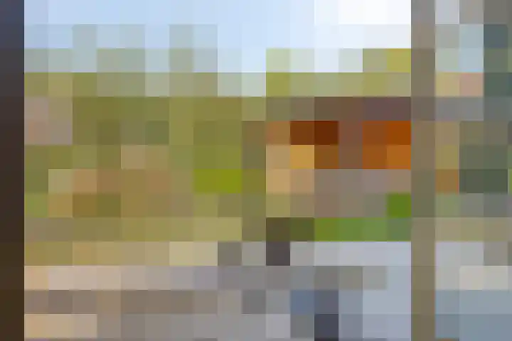 Struiklaan 7 Nooitgedacht thumbnail 13