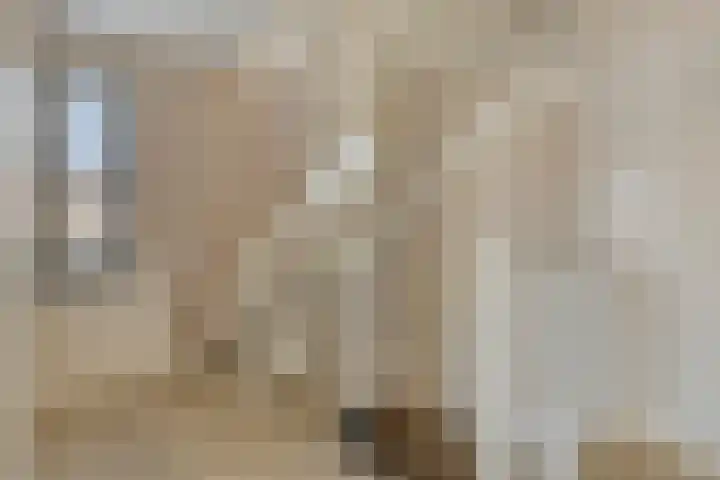 Struiklaan 7 Nooitgedacht thumbnail 18