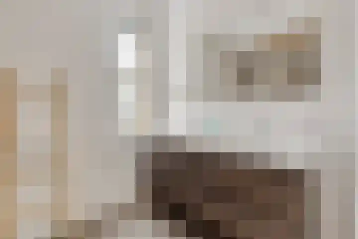 Struiklaan 7 Nooitgedacht thumbnail 20