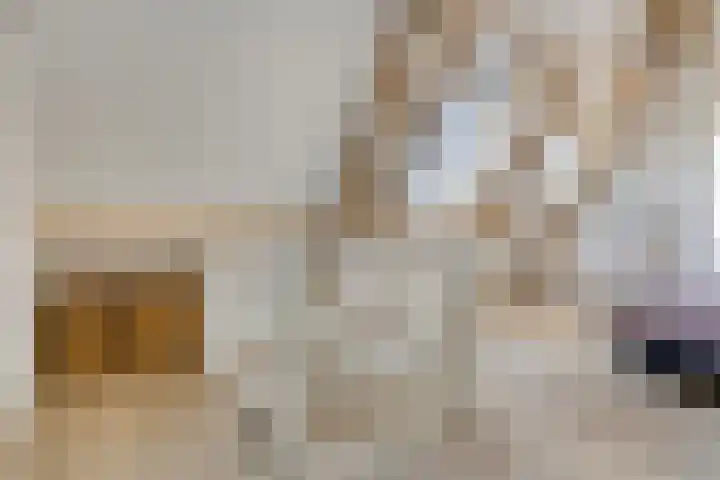 Struiklaan 7 Nooitgedacht thumbnail 26