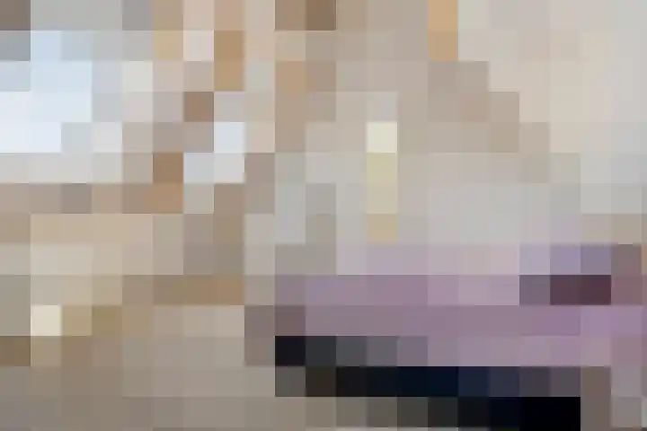 Struiklaan 7 Nooitgedacht thumbnail 27