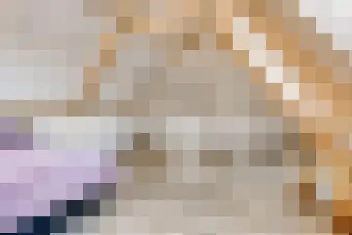 Struiklaan 7 Nooitgedacht thumbnail 28