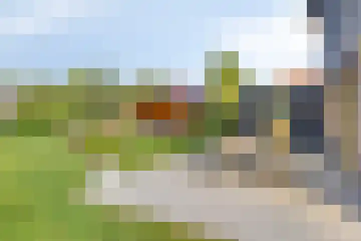 Struiklaan 7 Nooitgedacht thumbnail 30