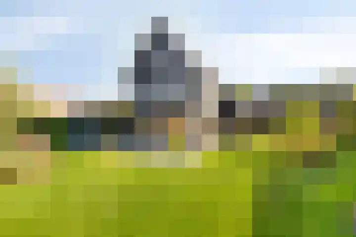 Struiklaan 7 Nooitgedacht thumbnail 31