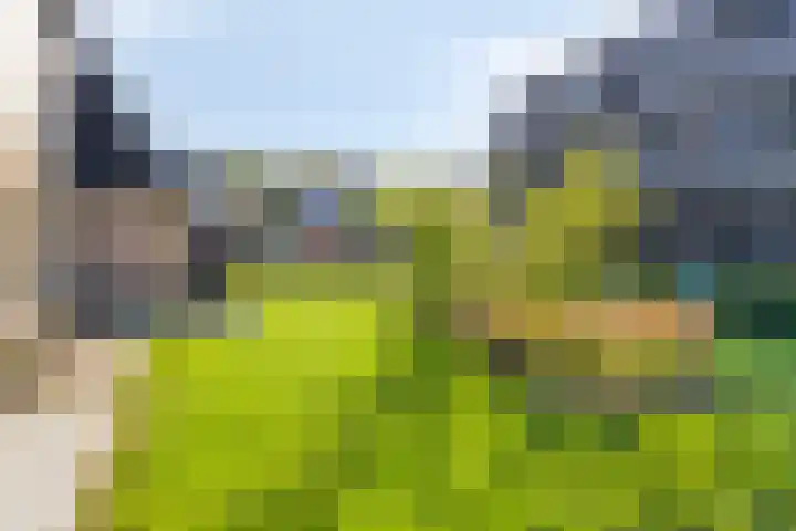 Struiklaan 7 Nooitgedacht thumbnail 32