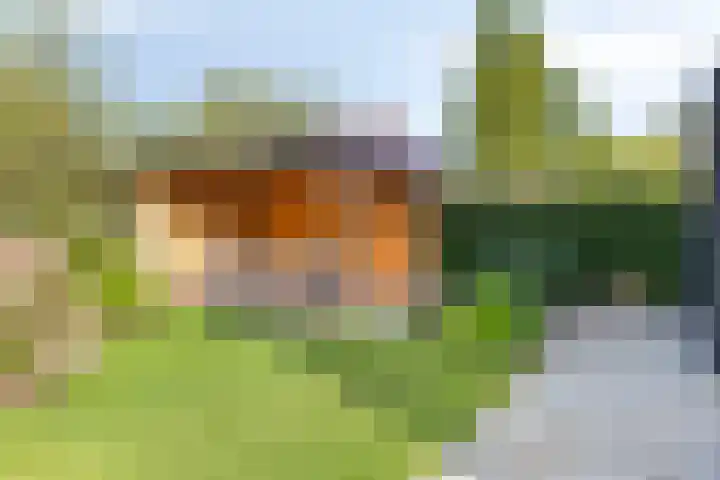 Struiklaan 7 Nooitgedacht thumbnail 33